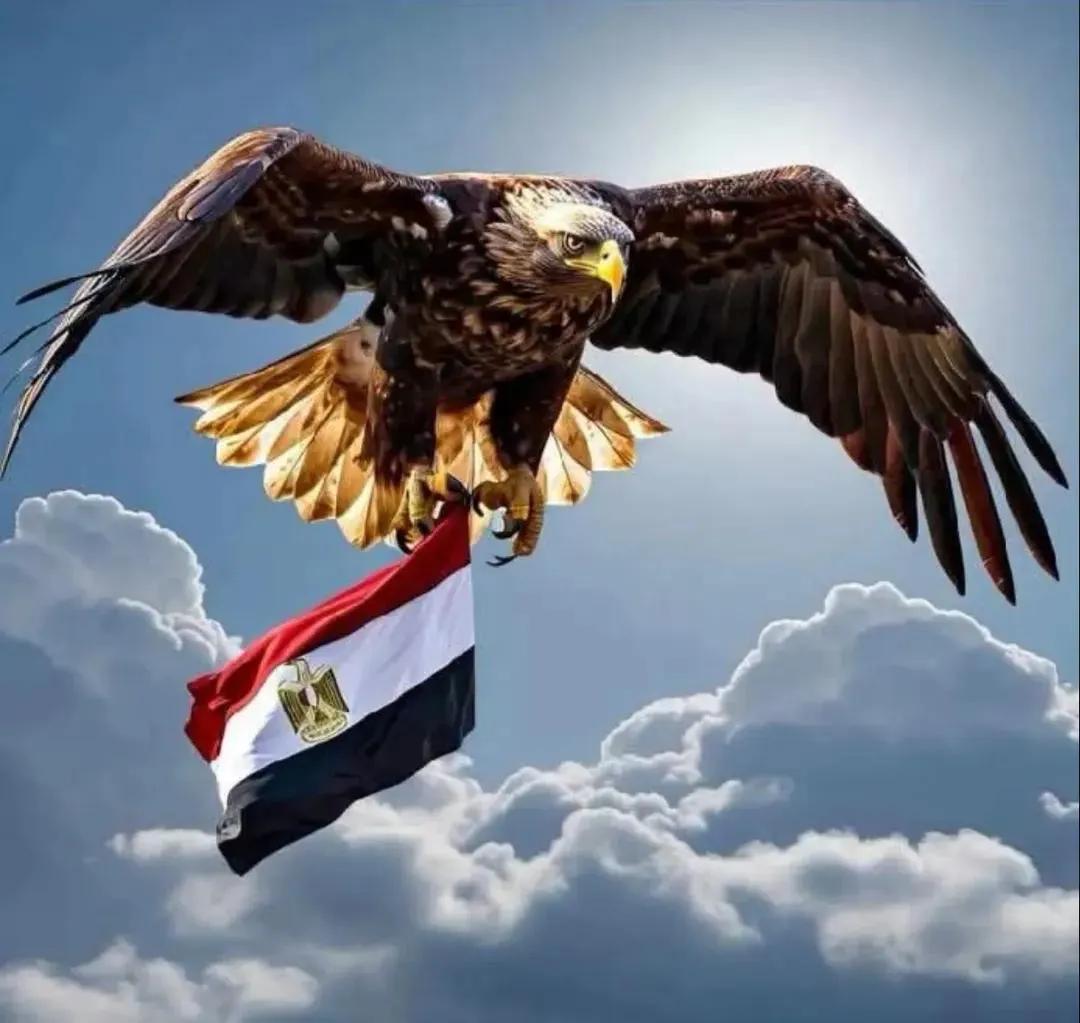 خلاصة القول في القمه العوض علي الله.. 
كل دوله مع نفسها، وكل دوله تحمي نفسها، القمه افتقرت لقرار جريء وهو ع الاقل قطع العلاقات مع اسرائيل ودا لم يحصل..غياب القرار الجماعي، واللي يشعر بالخطر يتصرف مع نفسه.. والرسول (ص)قال"ايها الناس عليكم بالجماعه فأن الذئب يأكل من الغنم القاصيه"