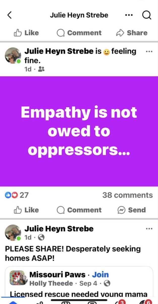 Missouri Freedom Caucus tweet media