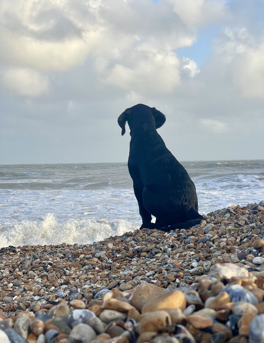 Too rough for swimming 🌊 another rainbow and 🐾 🥰#MondayMotivaton #EastSussex ♥️