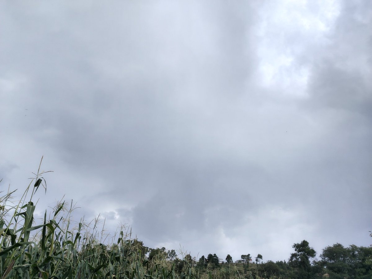 DanielArt33's tweet photo. 16:00hrs Se ven rayos y se escuchan truenos, Cumulonimbus (Cb) acercándose 8 octas Tepotzotlán Estado de México https://t.co/mZsYPueg01
