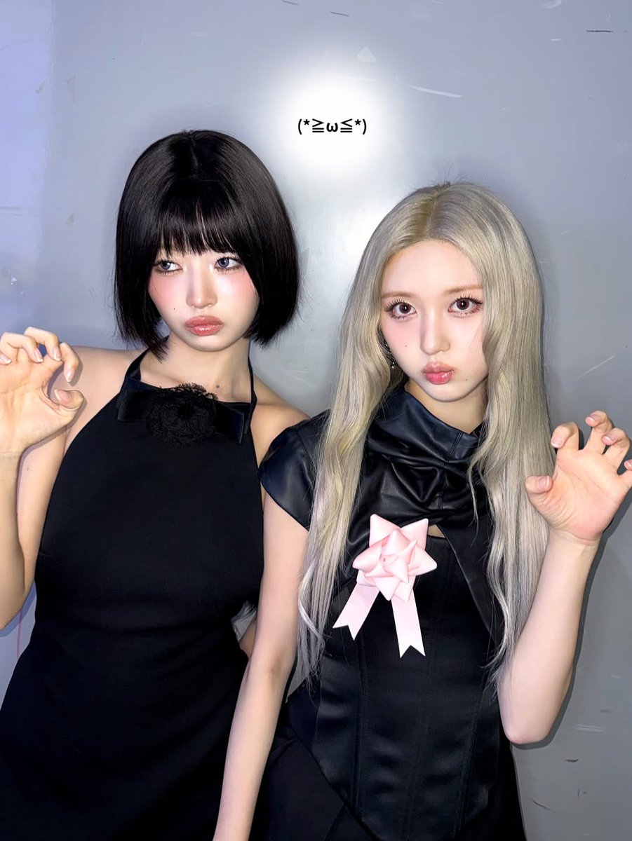 Rei (@reinyaow) on Twitter photo 