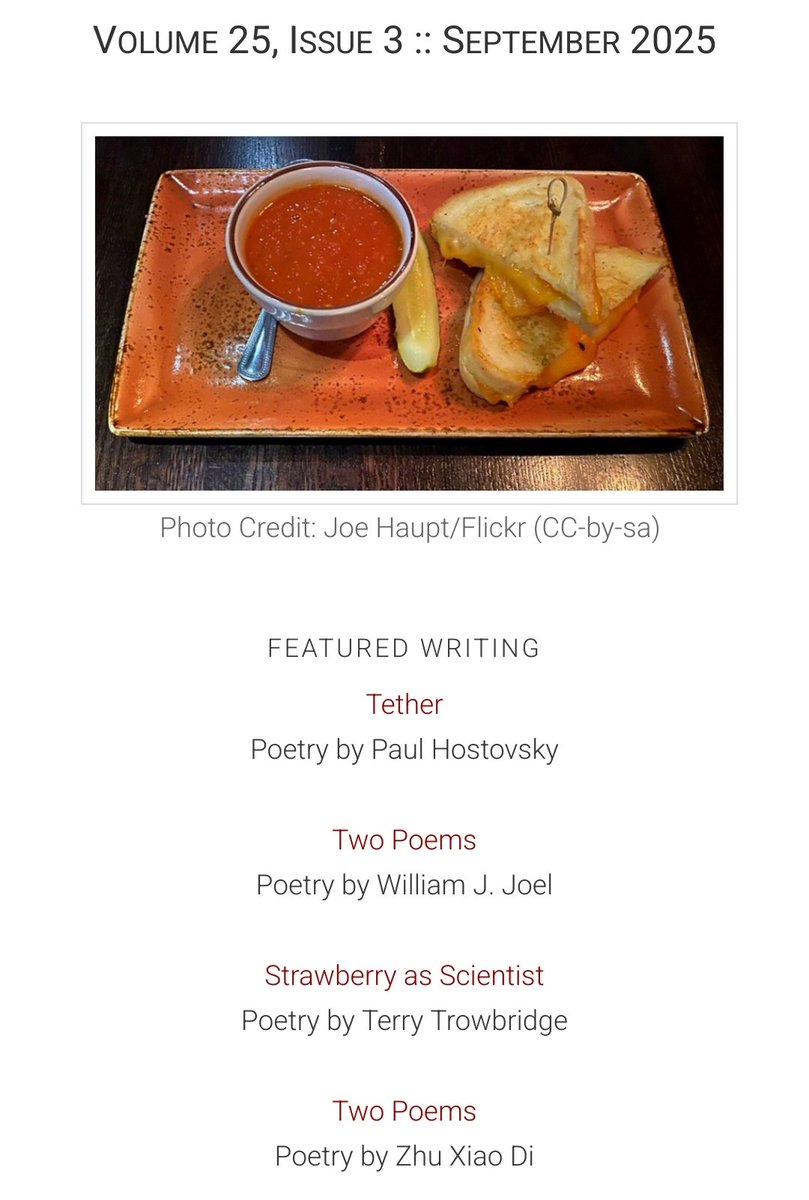 toasted_cheese's tweet image. TC's September issue is here! 🍂

toasted-cheese.com/literary-journ…

#literaryjournal #litjournal #writing #writers #reading