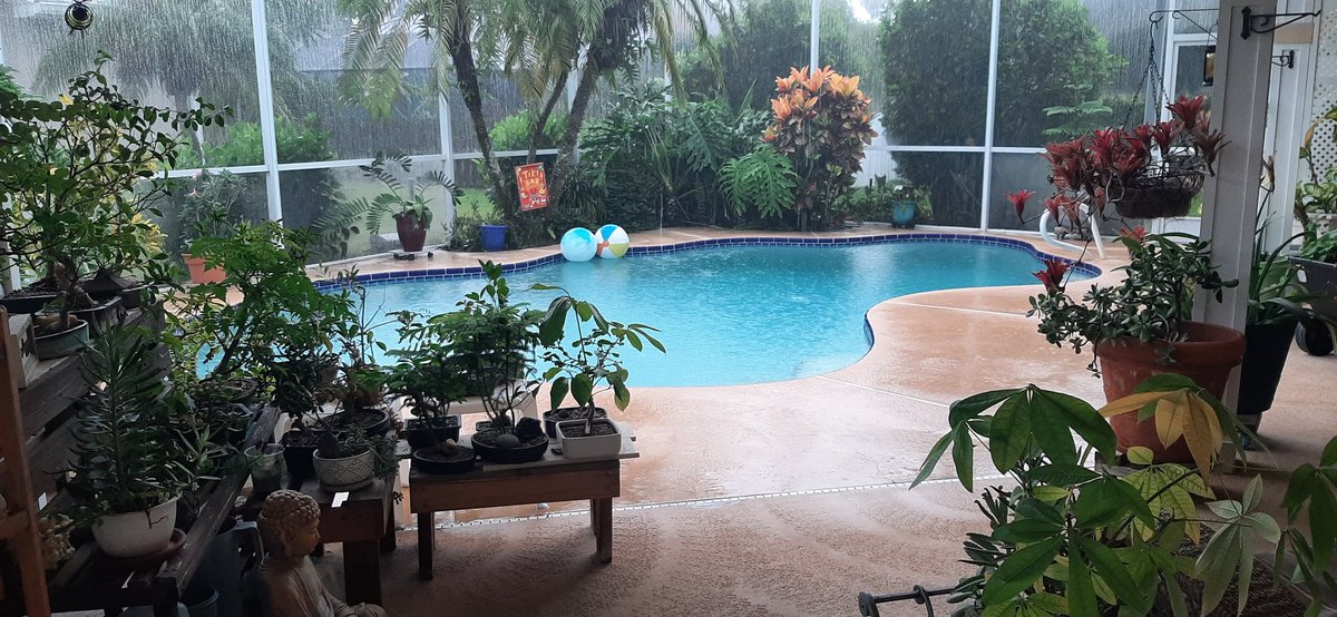 mampebbles's tweet photo. @CamTranTV 🌧️ and ⛈️ right now #spacecoast https://t.co/RPZP5wLiT4