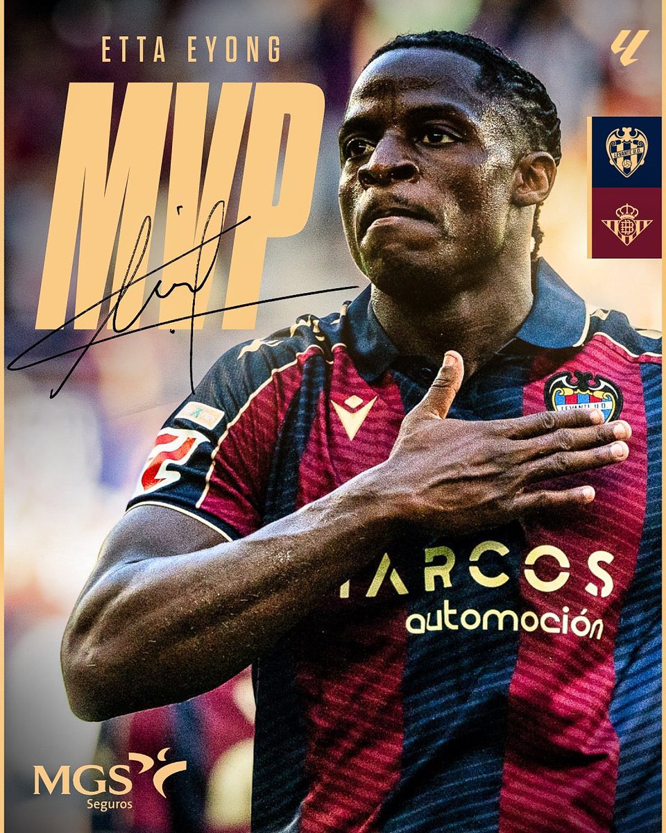 AllezLesLions tweet media