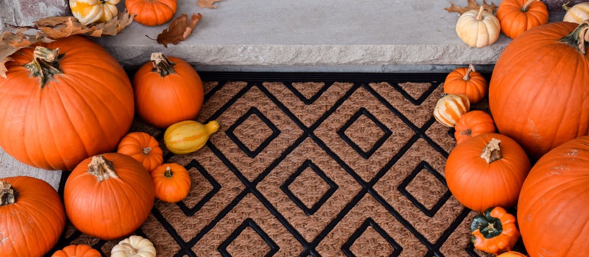 WineteerKC's tweet image. As the weather cools and leaves begin to change around Kansas City, your front porch becomes the first impression of your home’s fall charm. Here are the top 0 1ways to create a warm and inviting entrance this fall.
wineteerconstruction.com/top-10-ways-to…

#FallDecor #FrontPorchDecor #fallvibes