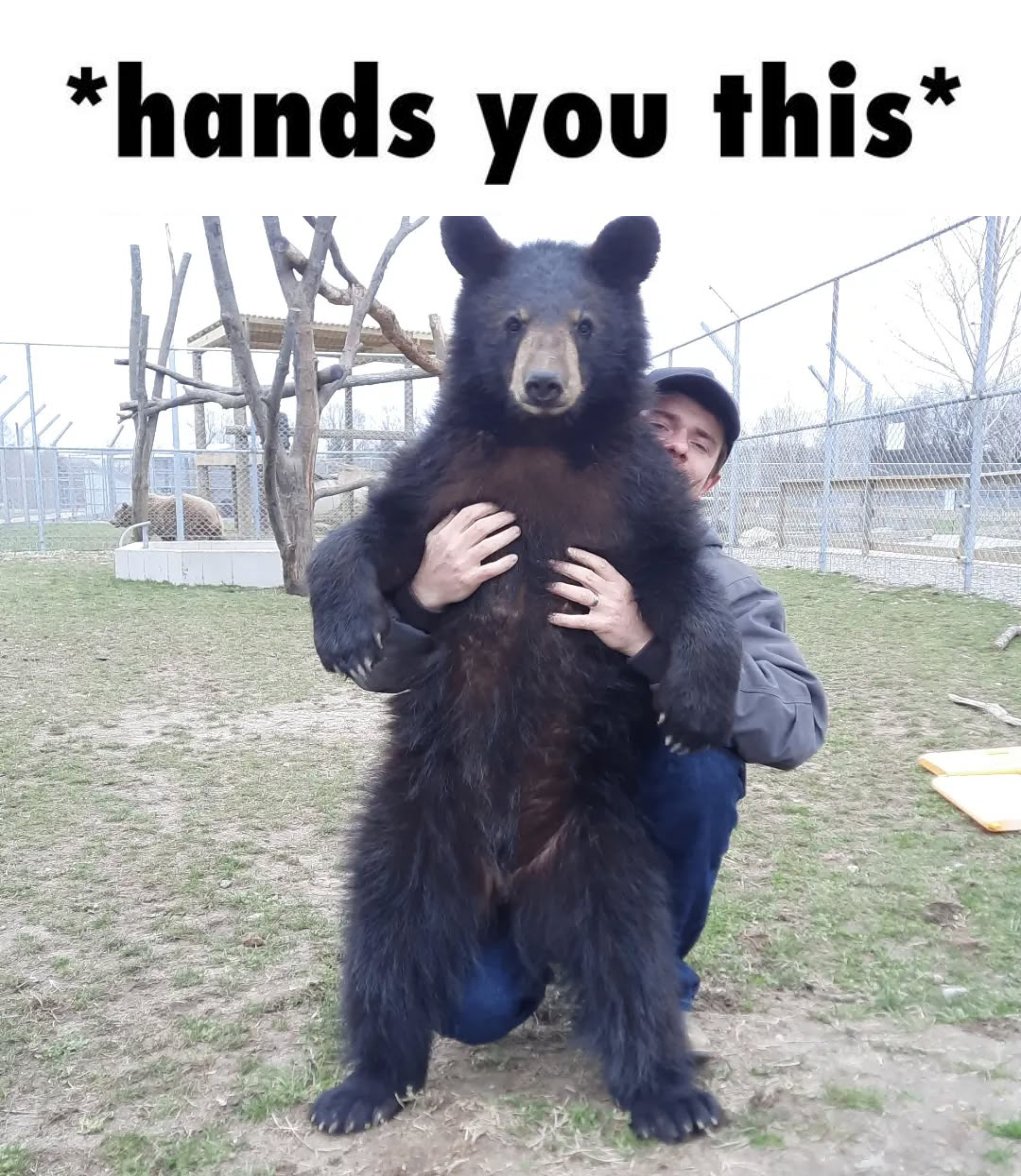 BearyDales (@bearydales) on Twitter photo 