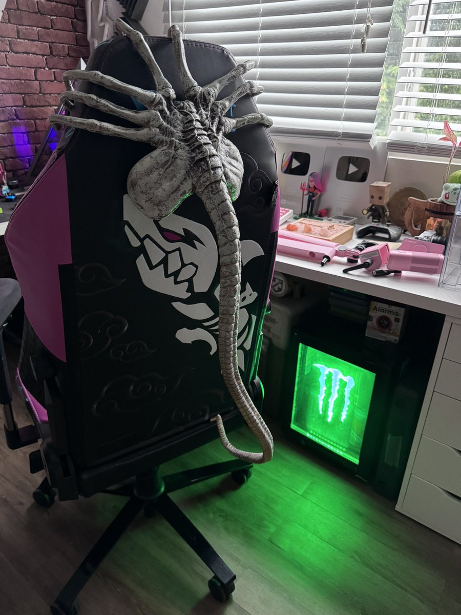 Cayó un meteorito en Panamá y también encontré este “organismo”. Ya está de ese tamaño. ¿Creen que será amigable? O debo tener cuidado?