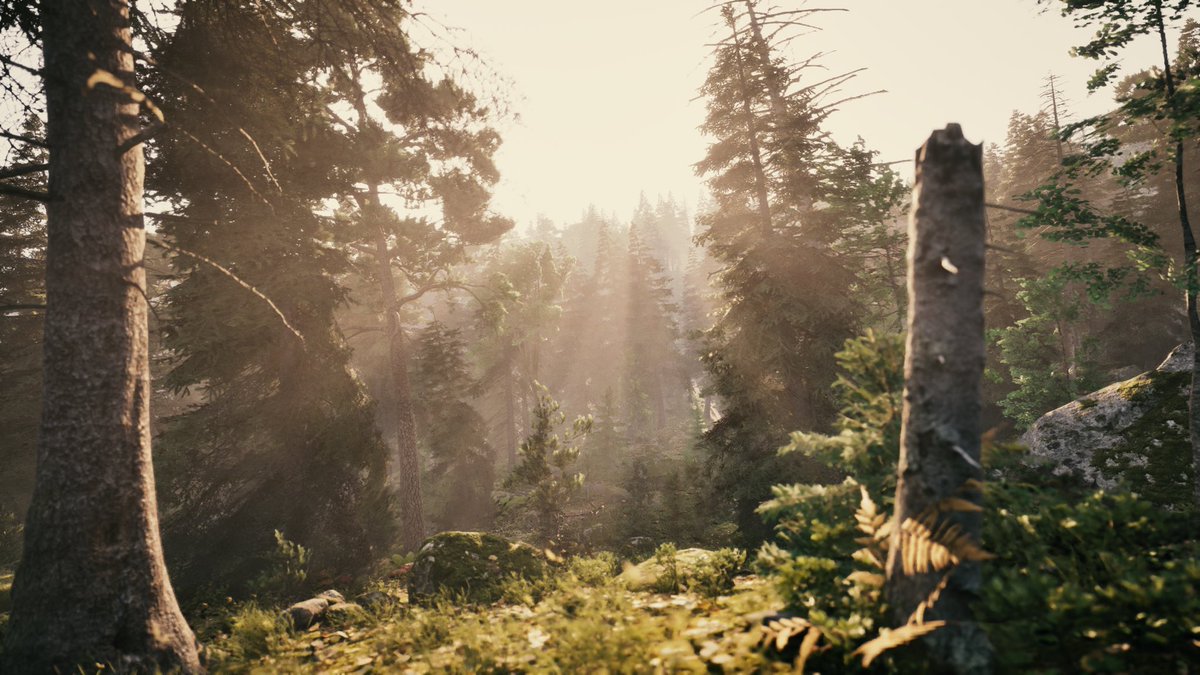 Pasquale Scionti tweet media