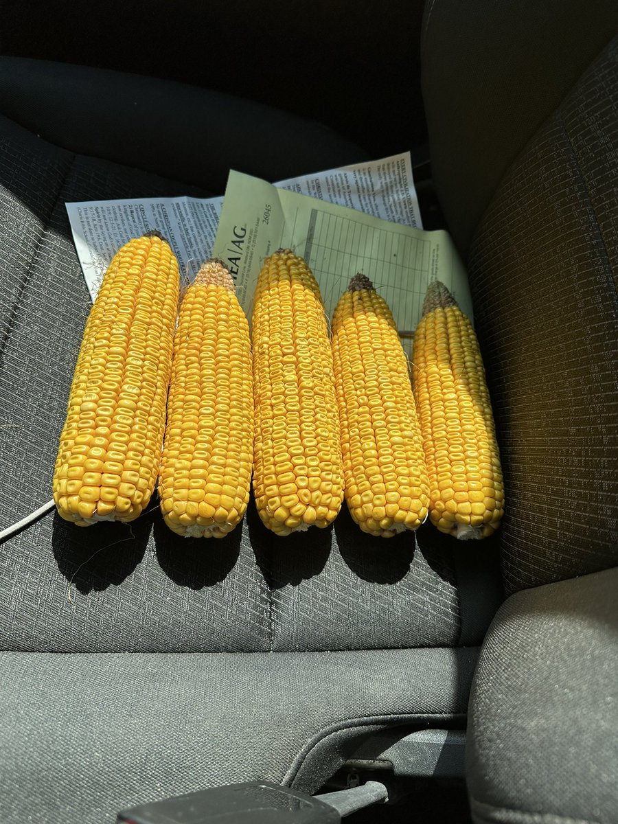 Jake O'Neil CCA-ON tweet media