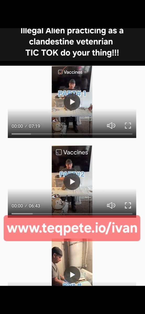 TeqPete.io tweet media