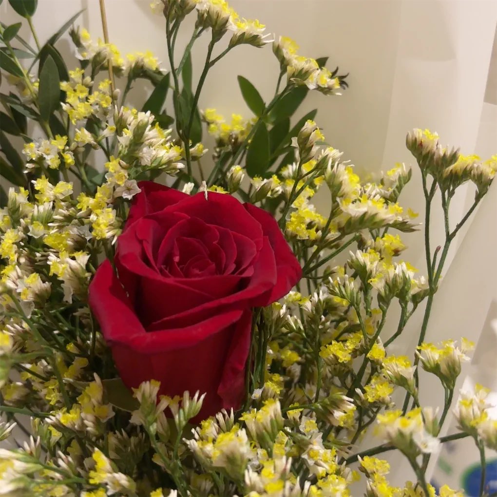 UmSukar's tweet photo. شؤون صغيرة تمر بها أنت دون إلتفات
تساوي لديﱠ حياتي جميع حياتي❤️ https://t.co/RAAwTU7cYV