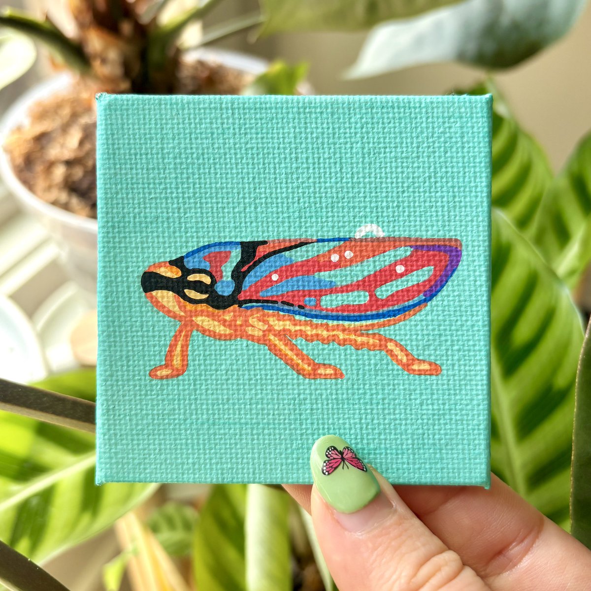 Little leafhopper on a tiny canvas!