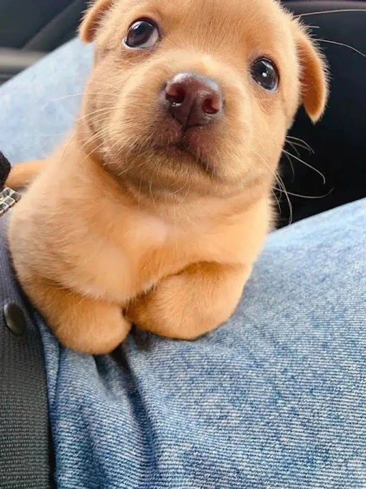 itimaliasof's tweet image. 