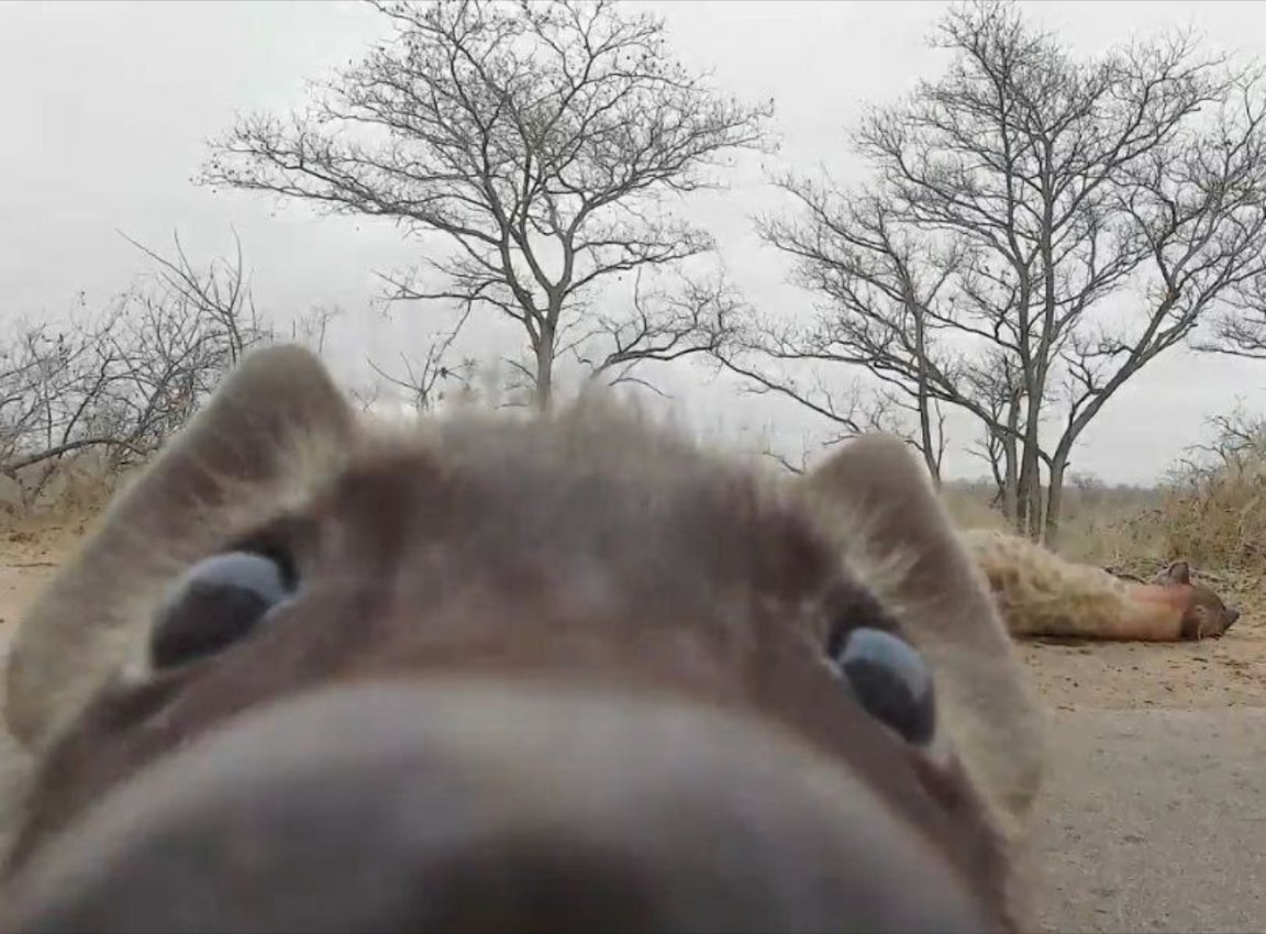 averyyeen tweet media