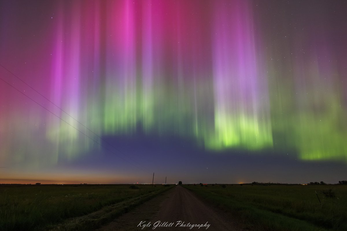 Kyle J Gillett tweet media