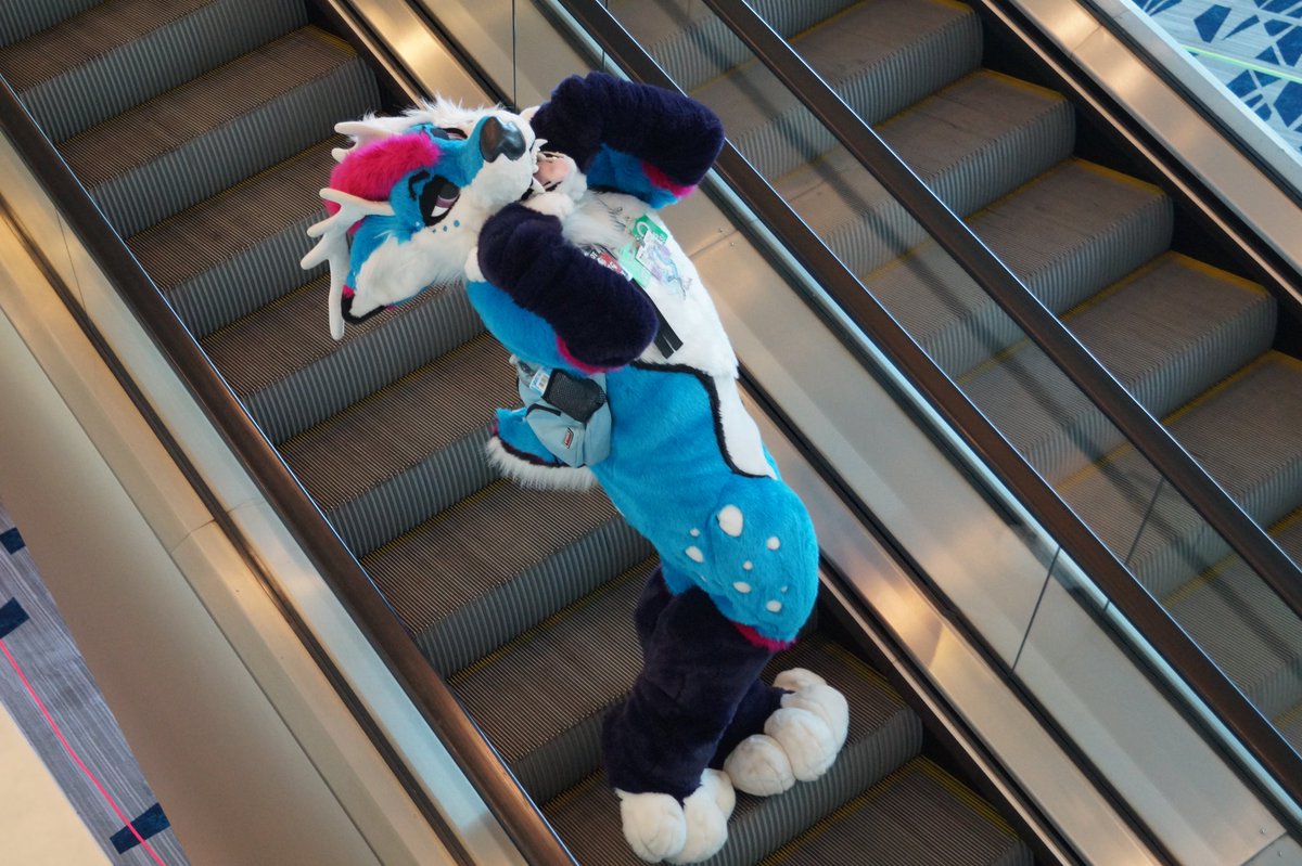 If you saw him at a con, what would you do? 

📸 <a href="/SekeiKometto/">Sekei🦋</a>