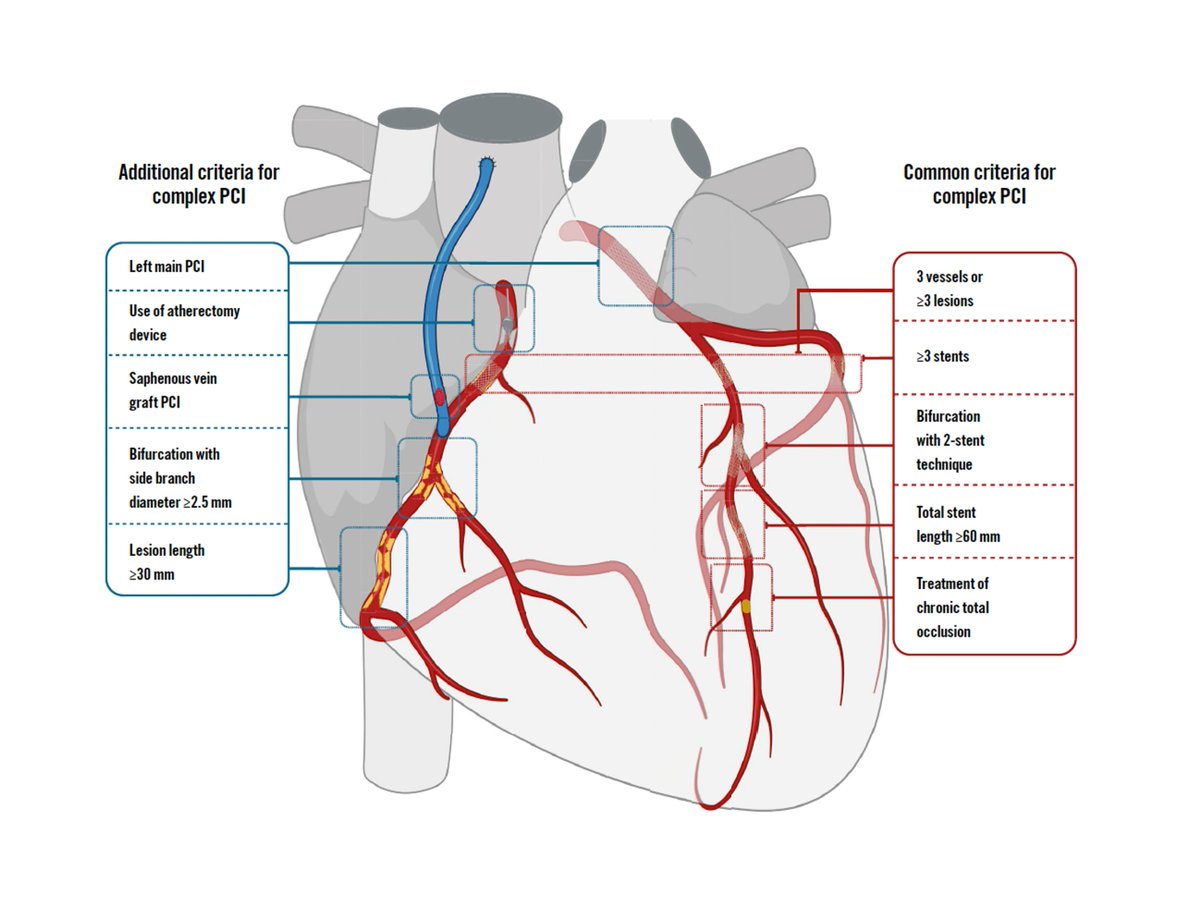 Domenico Simone Castiello tweet media