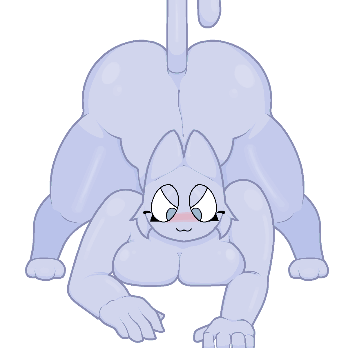 Blues is ready to pounce 😼