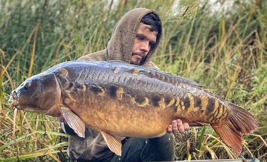 Bayeswater fisheries tweet media