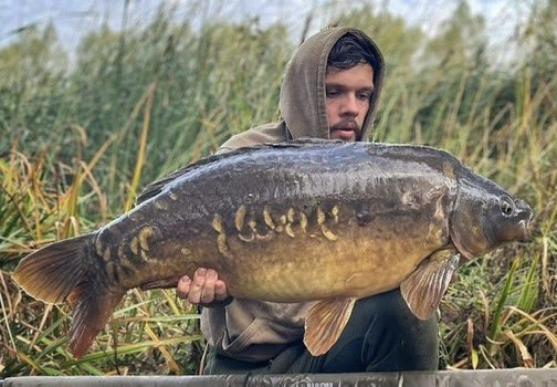 Bayeswater fisheries tweet media