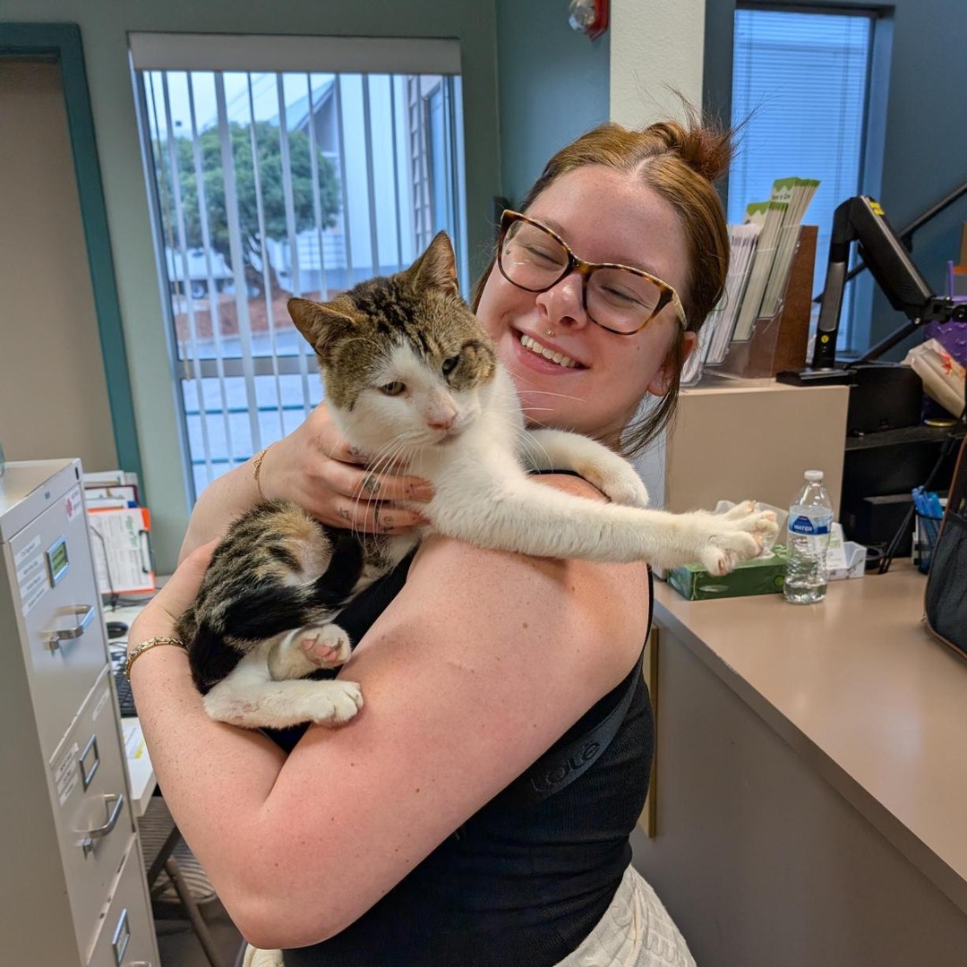 The Humane Society for Tacoma & Pierce County tweet media