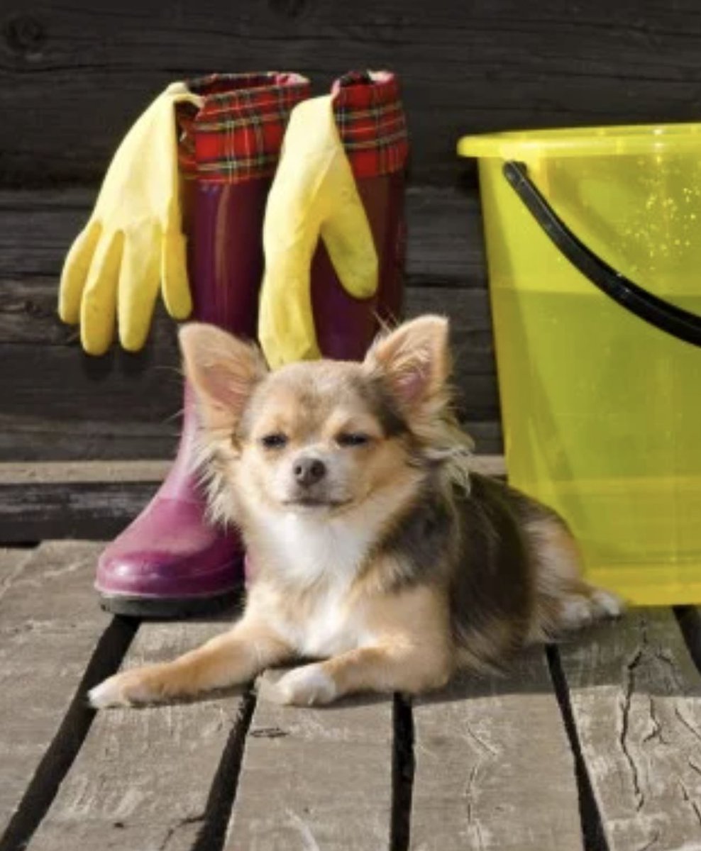 En avant pour le #WorldCleanUpDay dès demain matin ! 
Réunissant des millions de bénévoles, de gouvernements et d’organisations dans le monde, cette journée s’attaque au problème mondial des déchets. Serez-vous de la partie ? 🌏
#JournéeMondiale #Journéesolidaire #MondeMeilleur