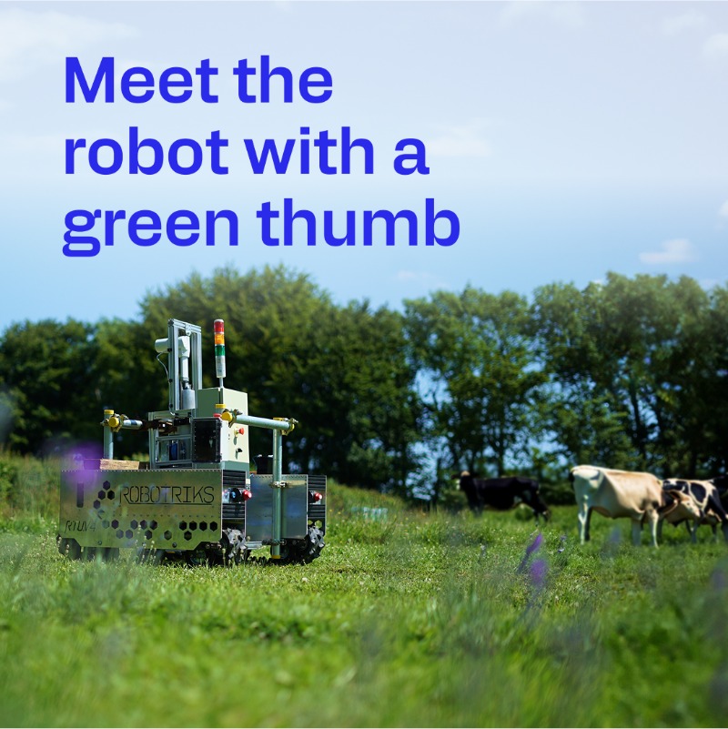 Qualcomm's tweet photo. Remove a toxic weed from pastures without harming pollinators — or the planet? Qualcomm Wireless Reach + @Robotriks are making it happen with #AI-powered robots that target ragwort safely and sustainably.