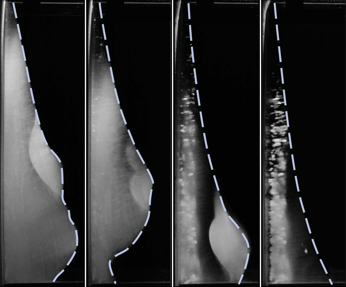American Physical Society tweet media