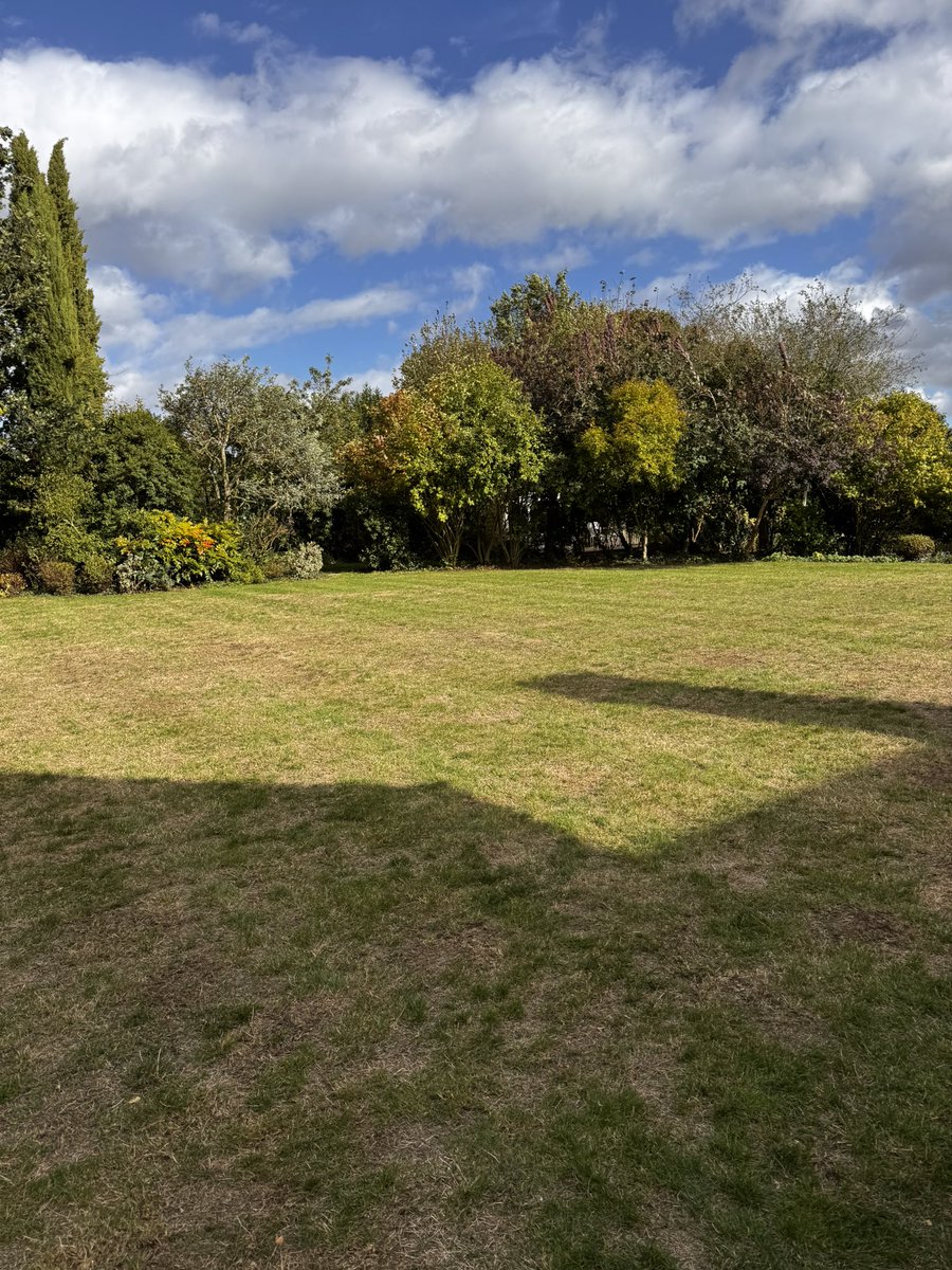 DH_Maintenance's tweet image. Long afternoon #battling the #wind - topped 360sqm lawn first then it  #scarifying &amp;amp; picking up thatch &amp;amp; #leaves- @ProLawnCareUK gave a great tip on the @AllettMowers lawn academy to use #leaf #collectors to pick up the #thatch 👍 worked a treat👍 have a great evening everyone ❤️