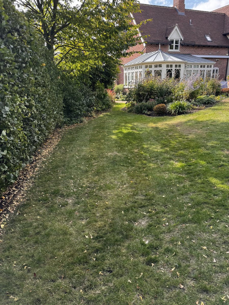 DH_Maintenance's tweet image. Long afternoon #battling the #wind - topped 360sqm lawn first then it  #scarifying &amp;amp; picking up thatch &amp;amp; #leaves- @ProLawnCareUK gave a great tip on the @AllettMowers lawn academy to use #leaf #collectors to pick up the #thatch 👍 worked a treat👍 have a great evening everyone ❤️