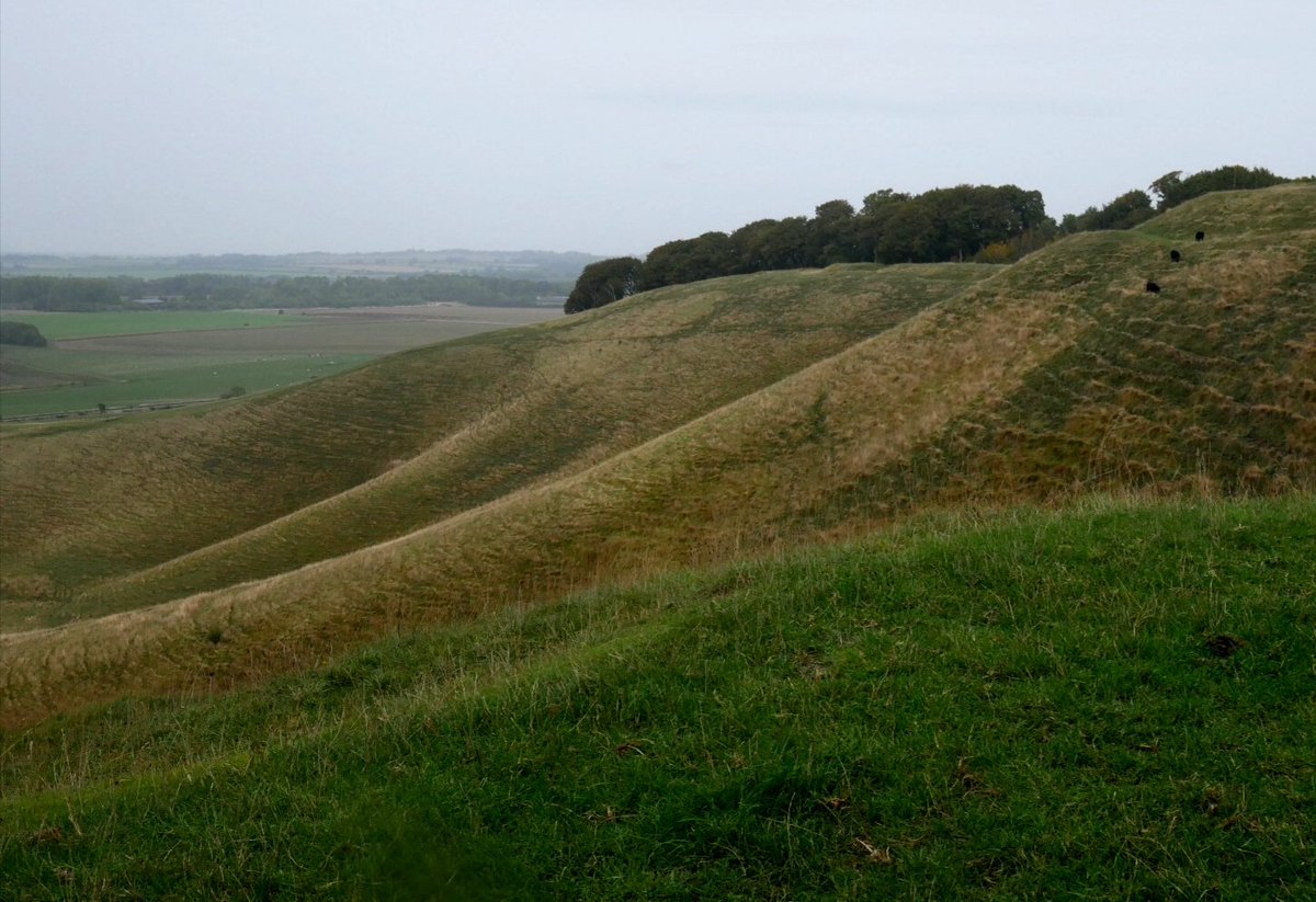 After West Kennet went up Cherhill down for the imitation of the Uffington horse and the Lansdowne monument on Oldbury hillfort. Went up a ridge to get the best view of the horse but ended up on all fours getting to the top where it was blustery and started to rain.