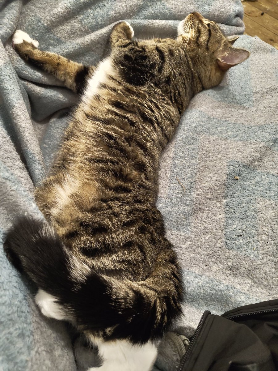 UrbanBackflip tweet media