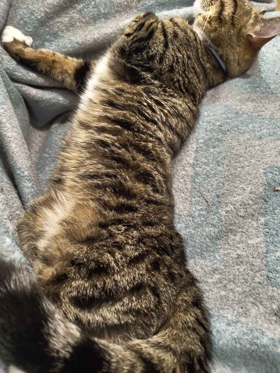 UrbanBackflip tweet media