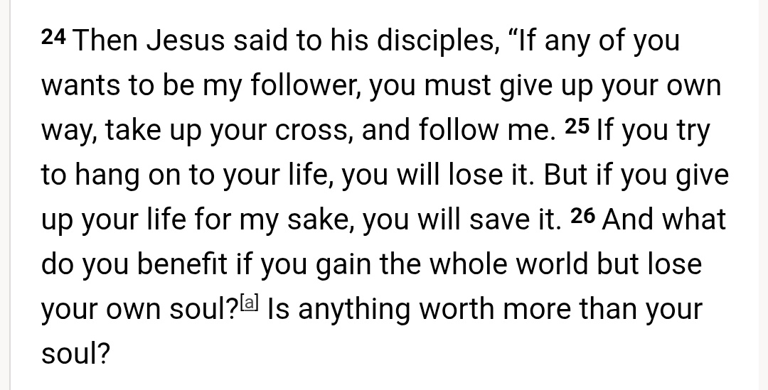 ✞Mike✞ tweet media