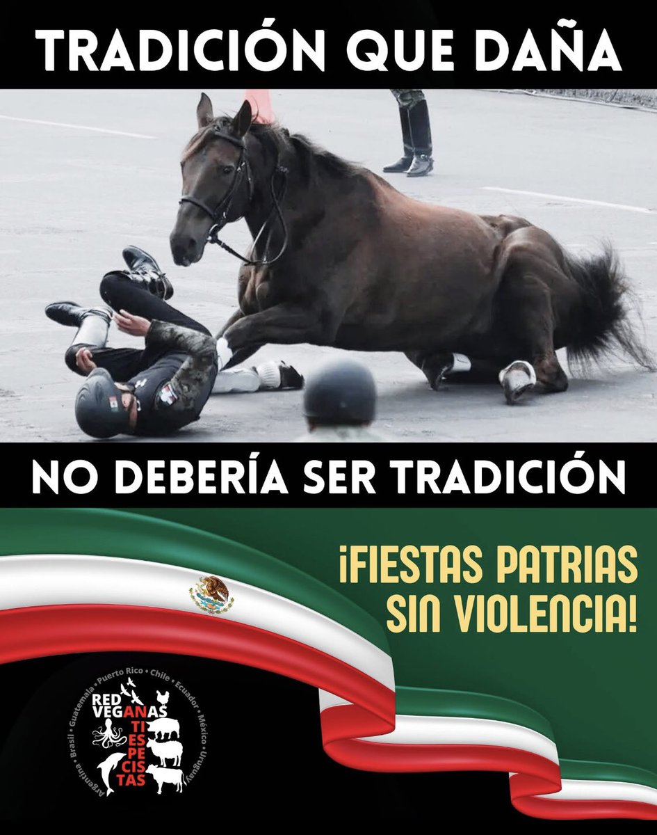 Red Veganas Antiespecistas tweet media