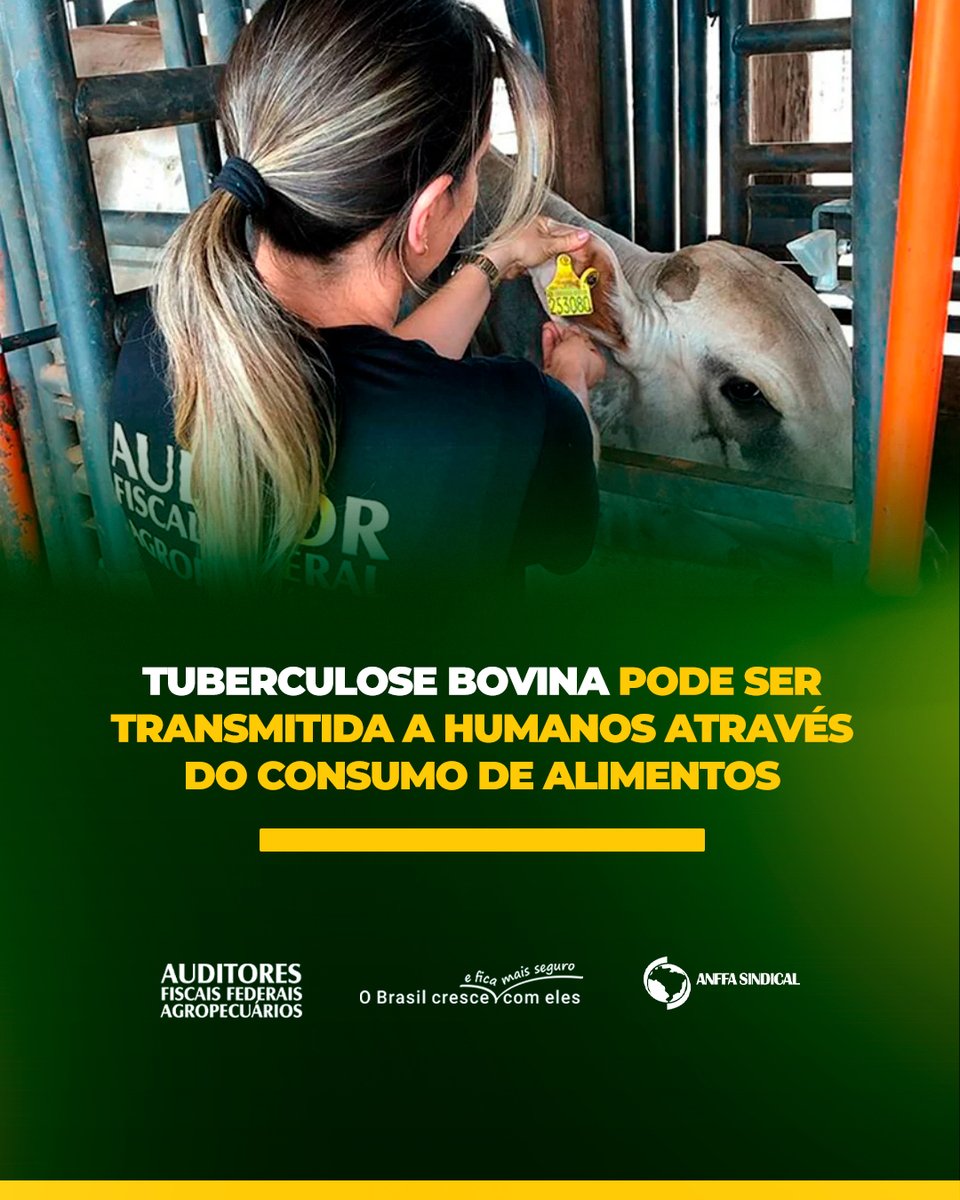 anffasindical.org.br/tuberculose-bo…
