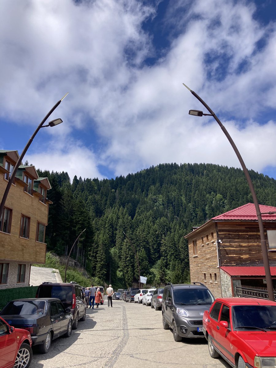 erdemenginyurt's tweet photo. 🧿 Giresun Kulakkaya Yaylası…

📍 Kulakkaya Yaylası 
 [Yavuz Kemal/Giresun]

#KulakkayaYaylası #Giresun https://t.co/guJa8HmNUS