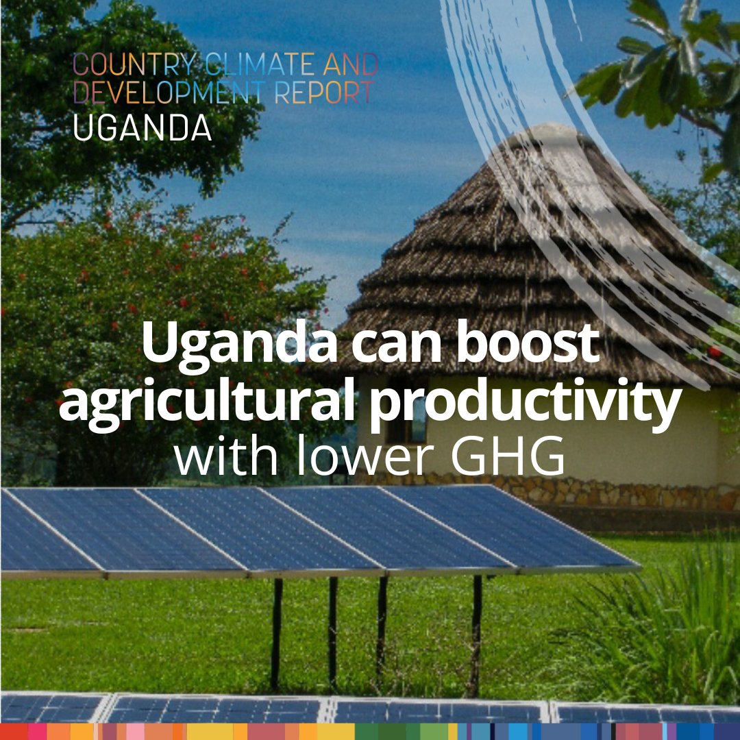 With solar-powered irrigation, climate-smart seeds, and stronger policies, Uganda can unlock higher agricultural yields and resilience. But it takes everyone—farmers, communities, government, and the private sector

Explore the #UgandaCCDR for solutions: wrld.bg/1r2P50WWMnp