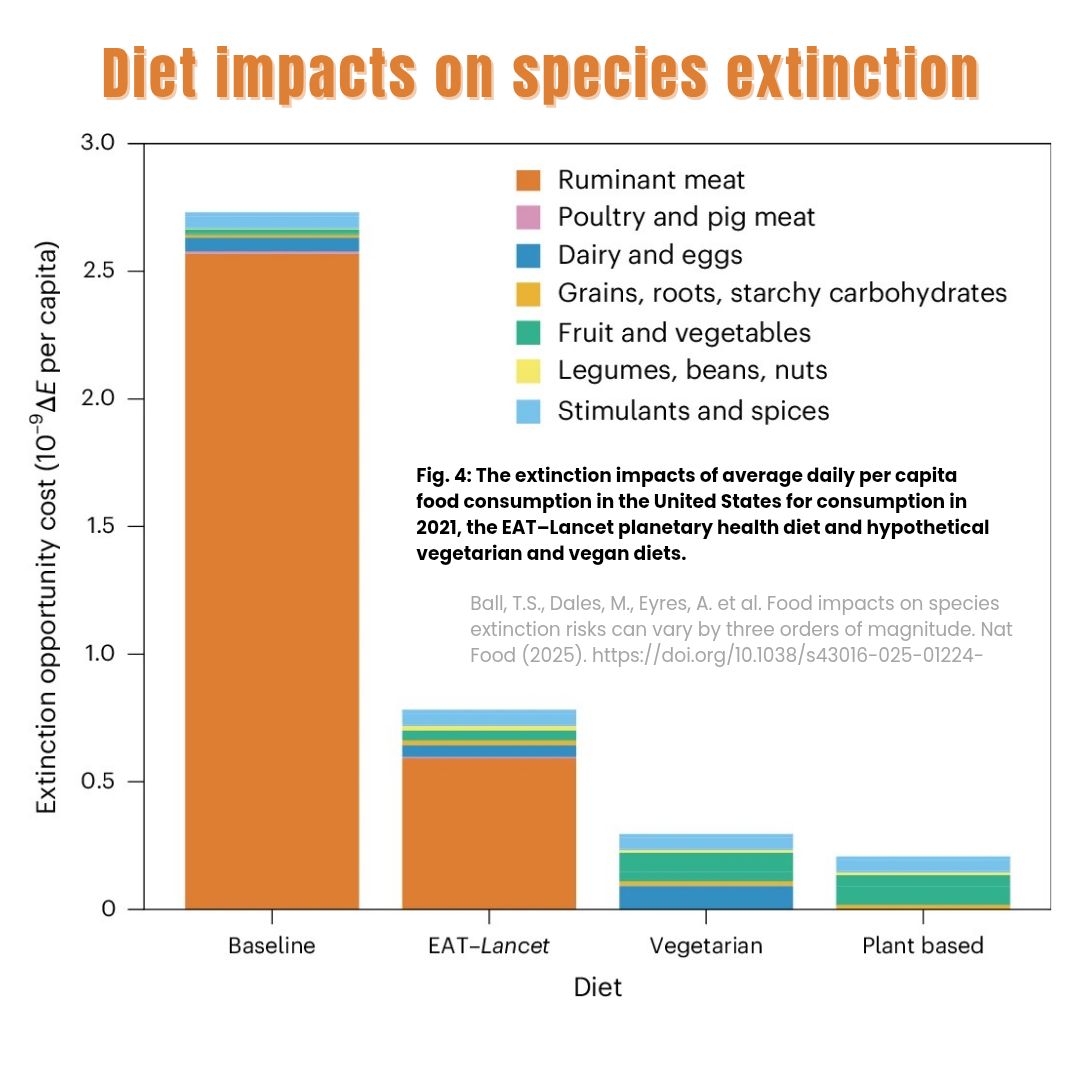 BeyondInvest's tweet image. New global study confirms:
🌍 Agriculture is the leading cause of biodiversity loss
🥩 Ruminant meat = top extinction driver, using 40% of habitable land
Even small shifts from animal products = huge biodiversity gains. #Divest from Big Ag #forhumanity. 🌱 doi.org/10.1038/s43016…