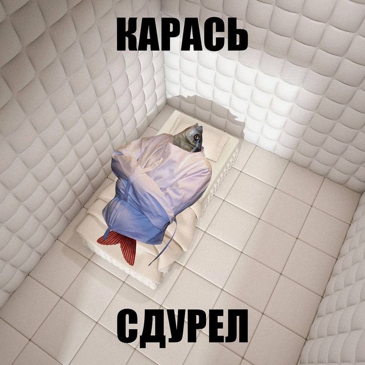 _chemical_dog's tweet photo. Я к концу года https://t.co/TV9EQhZRkD
