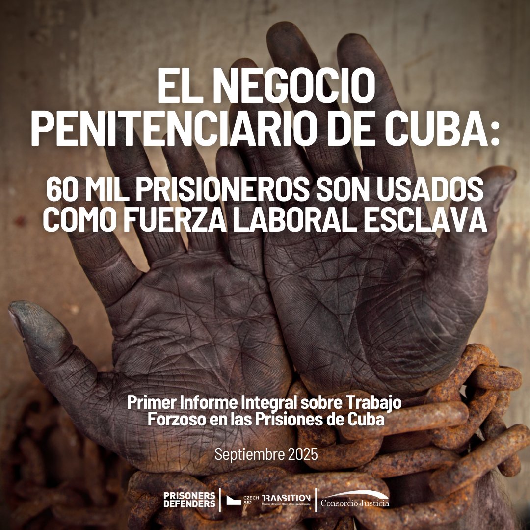 PrisonersDFNdrs's tweet photo. 📢 Nuevo Informe ya disponible: Primer Informe Integral sobre el Trabajo Forzoso en las Prisiones de Cuba.

👉 En #Cuba , más de 60.000 presos son usados como mano de obra esclava para producir carbón, tabaco y caña que se exporta a Europa.
👉100% de los testimonios recogidos confirman haber trabajado bajo coacción, amenazas o violencia.
👉81% reportaron un grave deterioro físico y psicológico.
👉50% de las mujeres sufrió acoso sexual y una de ellas fue violada.
👉La producción de carbón vegetal alcanzó en 2023 un valor de 61,8 millones de dólares, convirtiendo a Cuba en el noveno mayor exportador del mundo, pese a basarse en mano de obra esclava.

📄Consulte el informe completo aquí: https://t.co/WbfUnGcWfM
#Cuba #TrabajoForzoso #DerechosHumanos #PrisonersDefenders