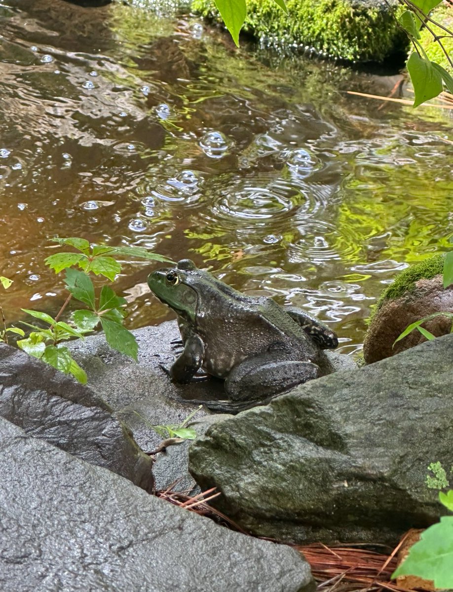 nell 🚺 tweet media