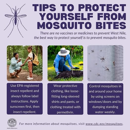 Protect yourself from mosquito bites and the viruses they spread (like West Nile!) by:
🚫🦟Using insect repellent
✅Wearing protective clothing
🏡 Using screens &amp; dumping standing water outside your home weekly!