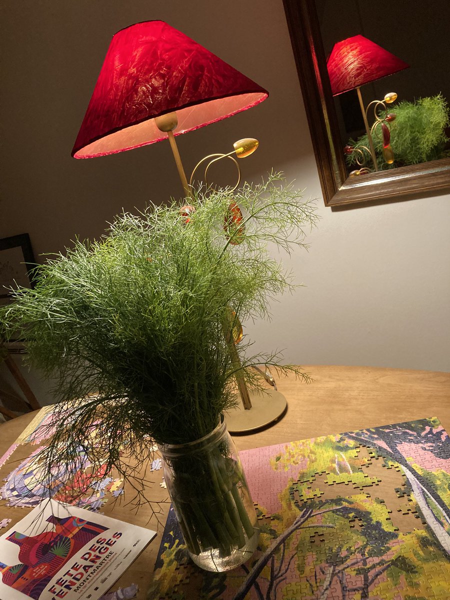 محمّد فاسي ⵎ ⴼ tweet media