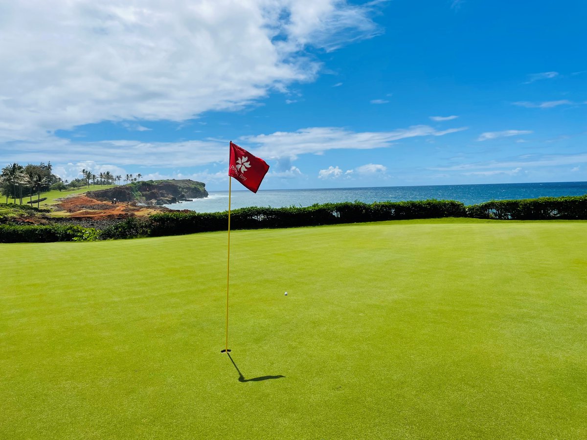 🌺 Aloha Friday vibes on the fairway!

Trade your work shoes for golf shoes and let the island spirit guide your swing. 🏌️‍♂️🌴