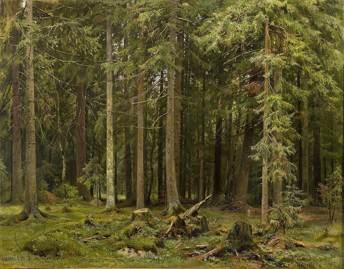 The forests of Ivan Shishkin (1831–1898)