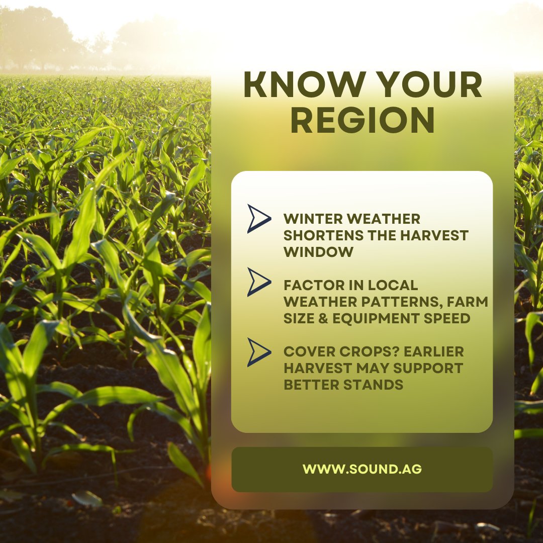 Harvest is here 🌾 Timing is everything. Balancing stalk strength, drying costs &amp; regional weather risks helps safeguard yield and farm finances. 👉 Read our harvest timing guide: bit.ly/4m6LDqJ #Harvest2025