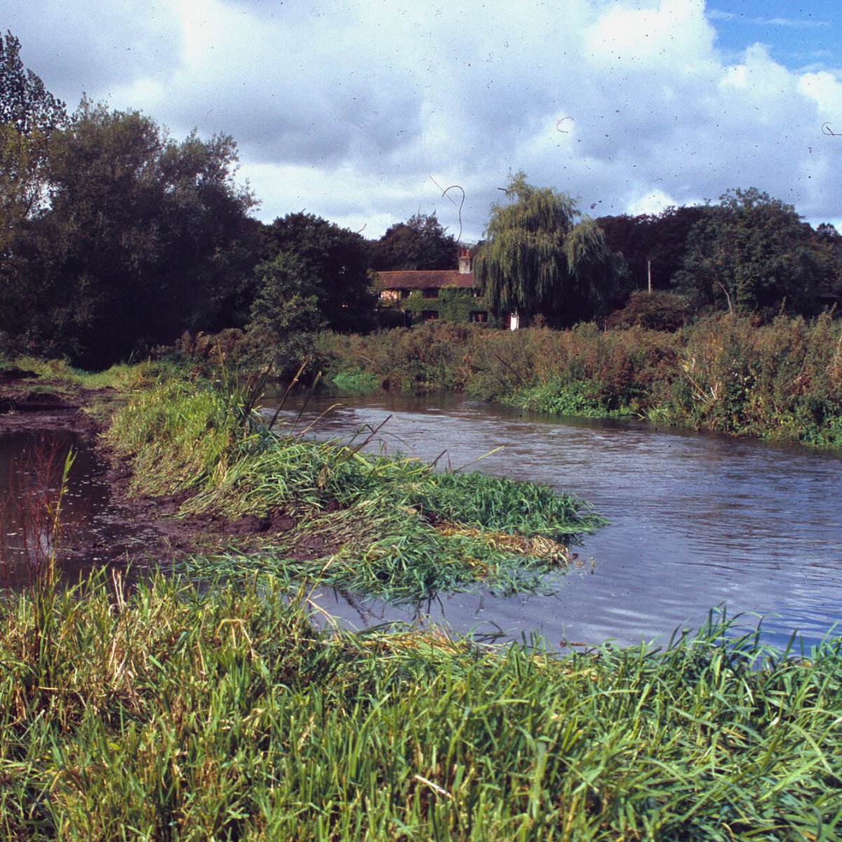 freshwaterbio's tweet photo. A spotlight on the #RiverWensum in Norfolk. Simon Johnson, Executive Director at FBA, issues a heartfelt call to action to help save England’s forgotten & sorely neglected #chalkriver.
Read the article 👉The Wensum: England’s dying & forgotten chalk river:
https://t.co/6raYWucdBK https://t.co/Lju4OX8vMA