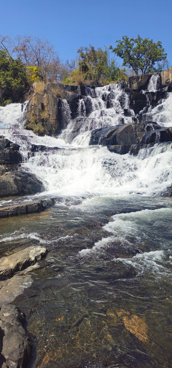 Mhofu_vekuMagetsi tweet media