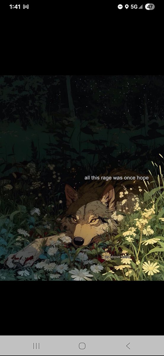 Styree2016's tweet image. 